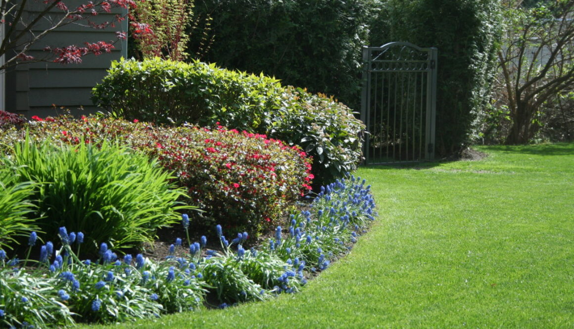 Lawn Garden Care 1024x683