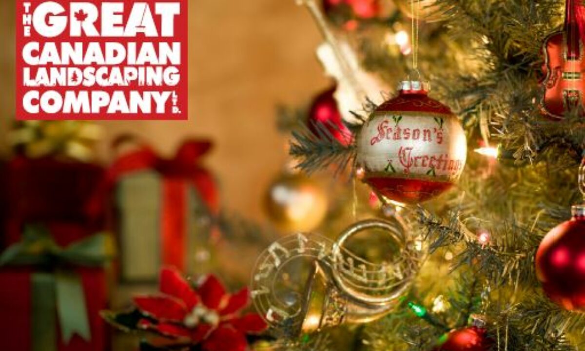 Season’s Greetings