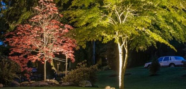 Lighting Accent min (1)