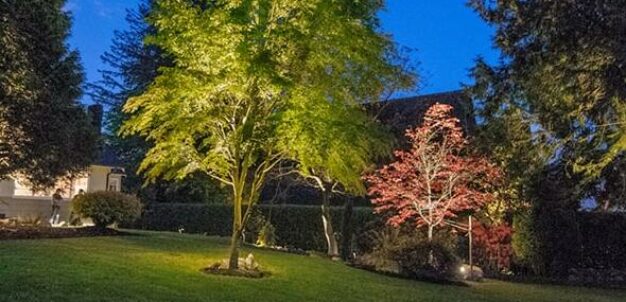 Lighting Silhouette min (1)