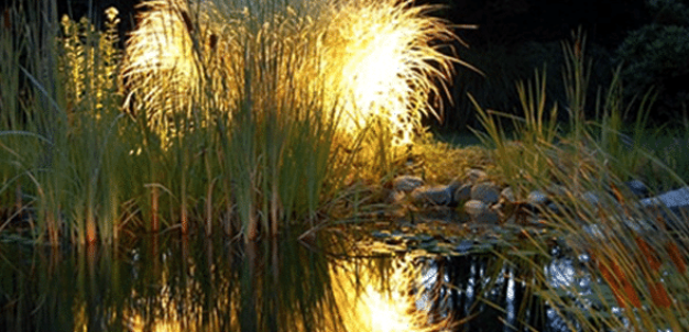 Services Lighting Path red banner min (1)