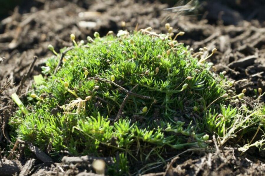 4DC9F8CE CFB6 4D0C BBED F7F25A63CA02 1 201 a