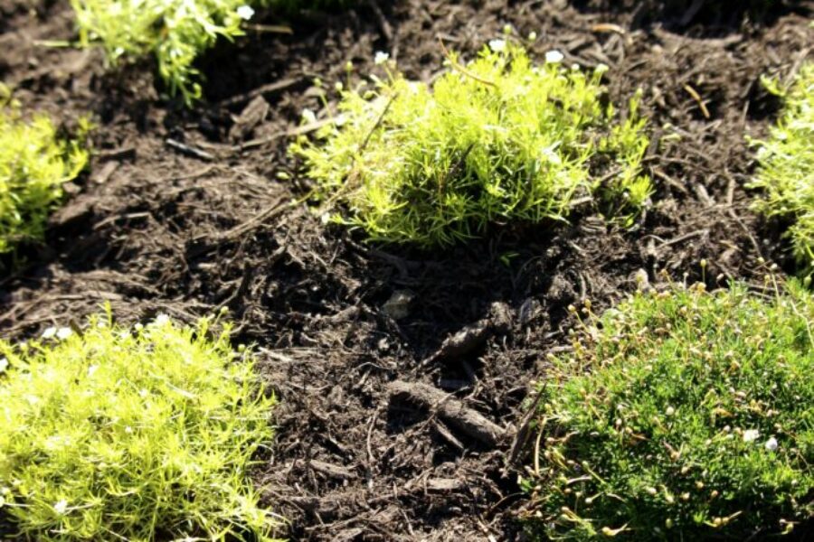 CCE3254F F4EE 4672 85C8 D187ED4485B5 1 201 a