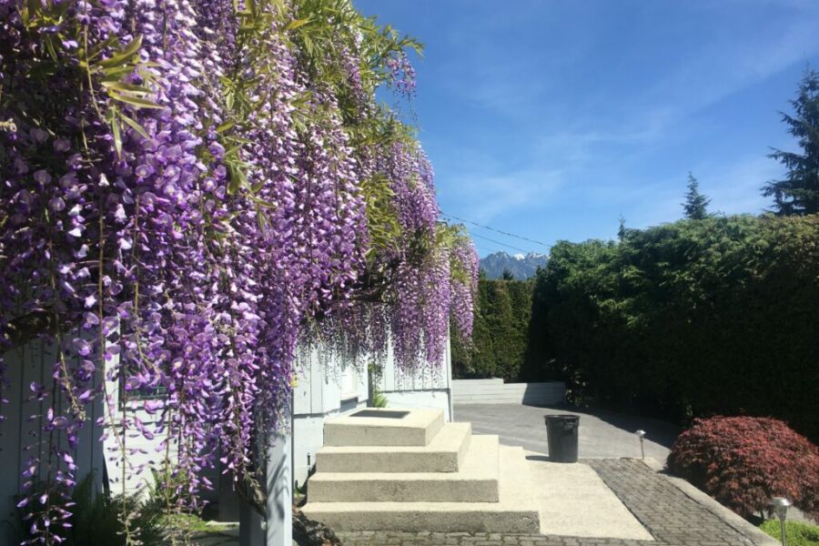 Catharine L   Photo #3