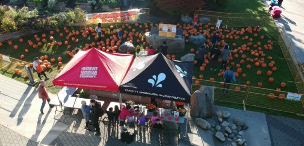 Community Days Banner 1