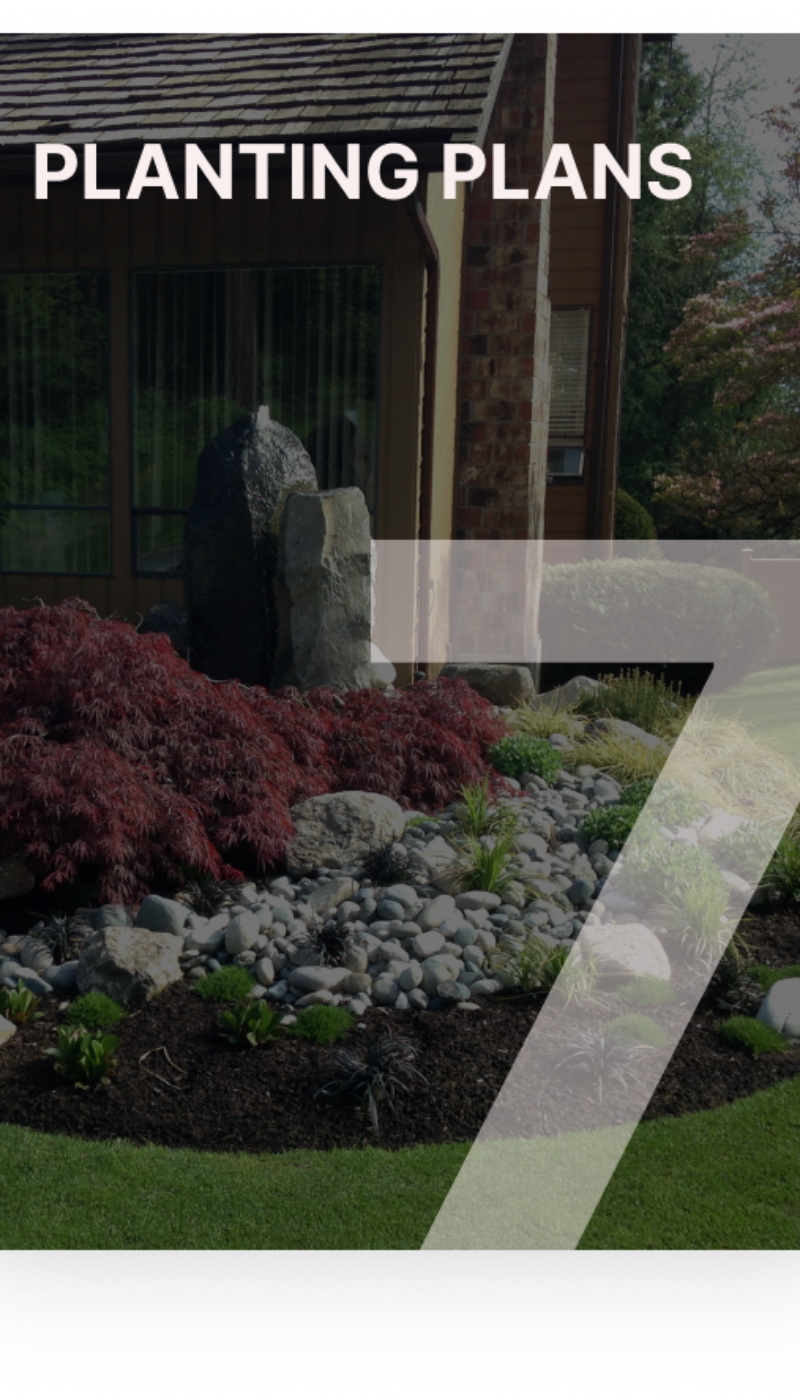 Landscape Design Process 7