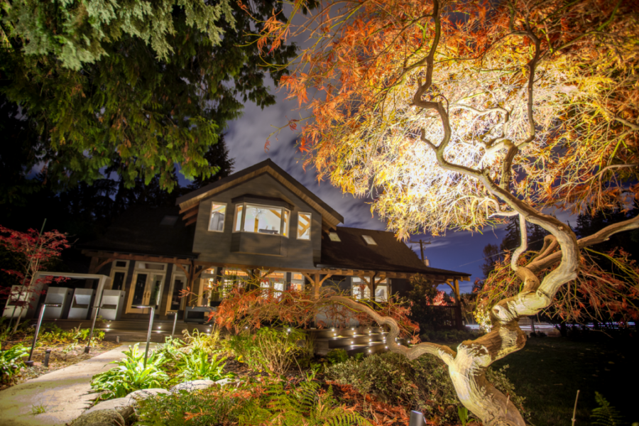 Lighting Pic Option 1