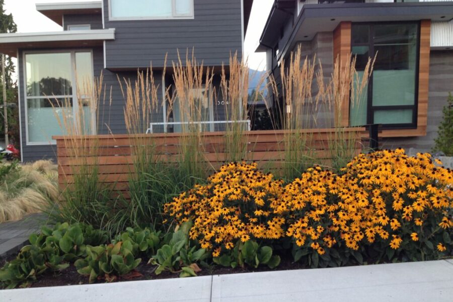 Photo 2014 08 27, 6 29 36 AM