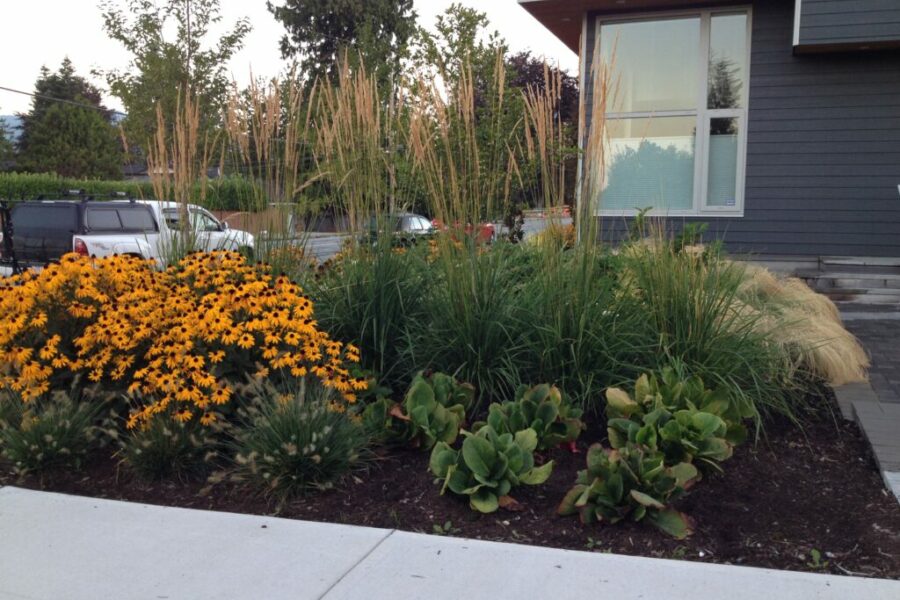 Photo 2014 08 27, 6 29 47 AM