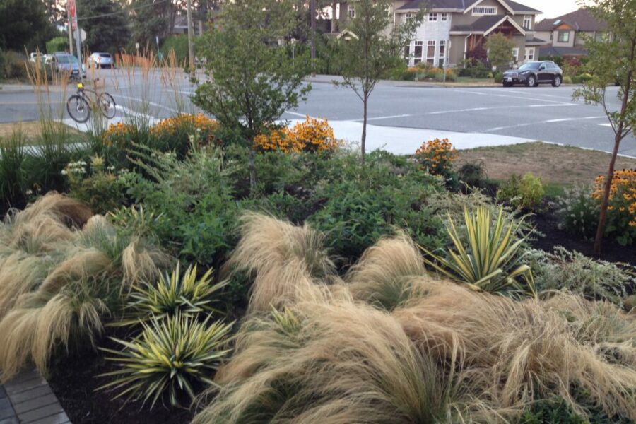 Photo 2014 08 27, 6 30 59 AM