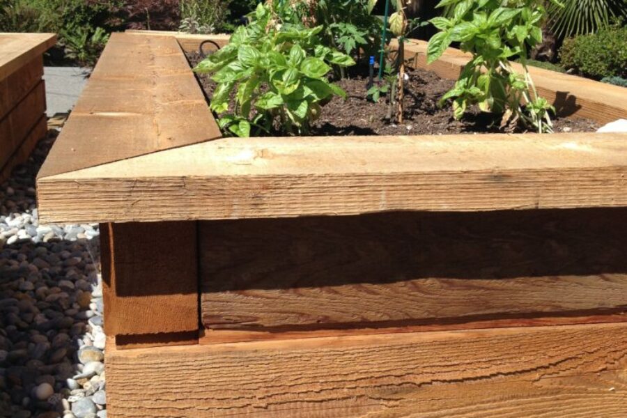 Photo 2015 07 29, 11 04 14 AM