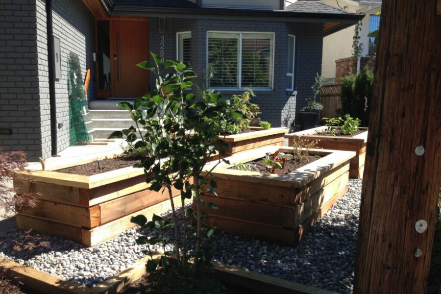 Photo 2015 07 29, 11 05 17 AM