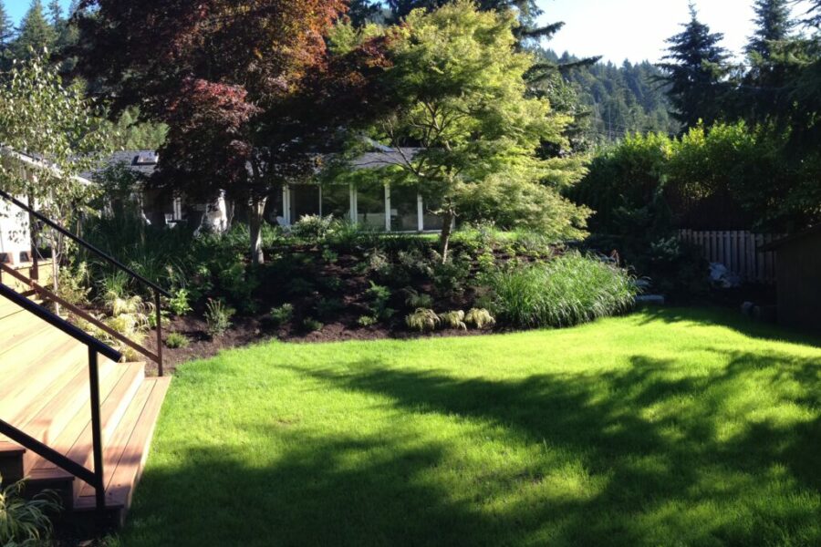 Photo 2015 07 30, 8 57 32 AM