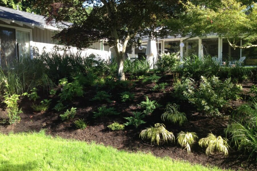 Photo 2015 07 30, 8 58 01 AM