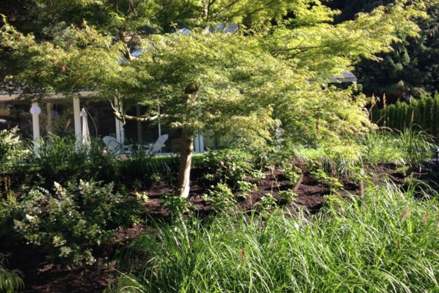 Photo 2015 07 30, 8 58 05 AM