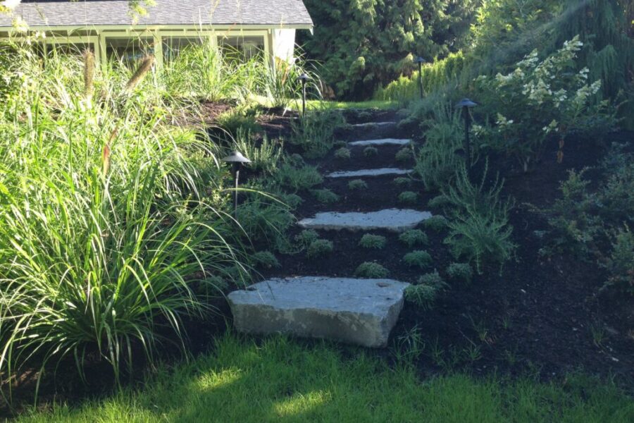 Photo 2015 07 30, 8 58 17 AM