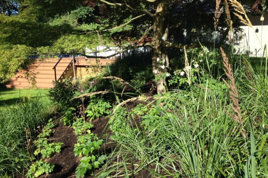 Photo 2015 07 30, 8 58 46 AM