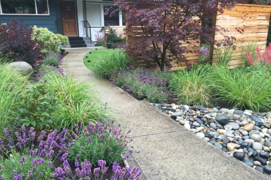 Photo 2016 07 07, 2 25 03 PM