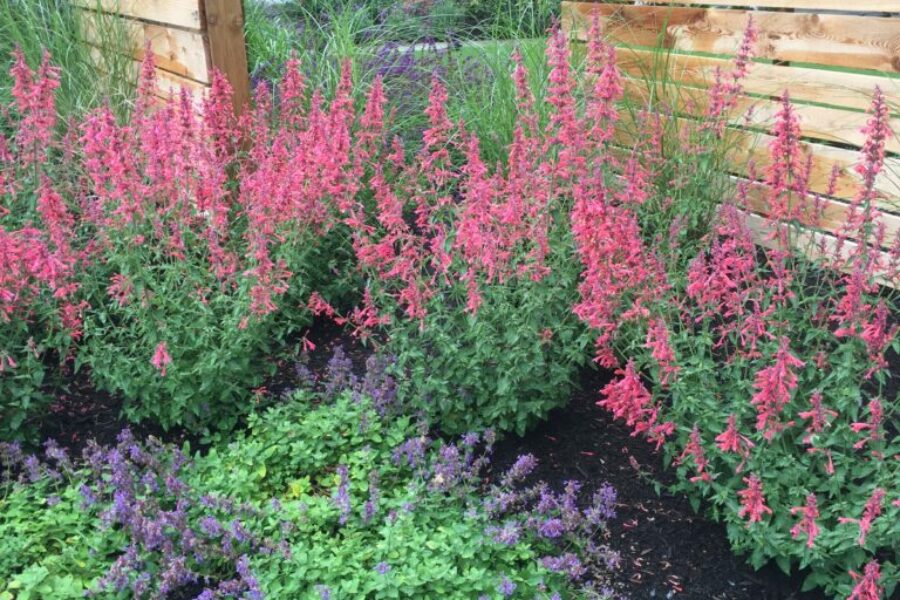 Photo 2016 07 07, 2 25 37 PM