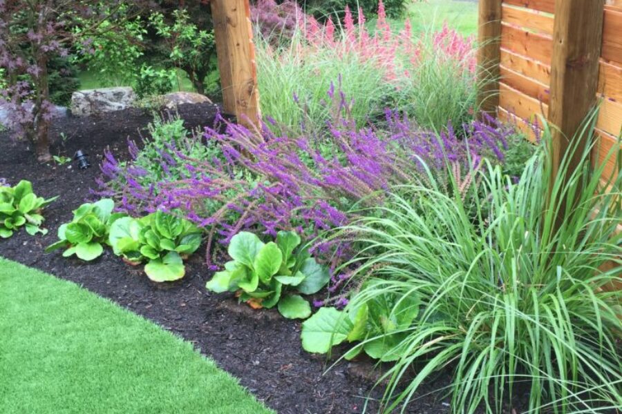 Photo 2016 07 07, 2 26 25 PM