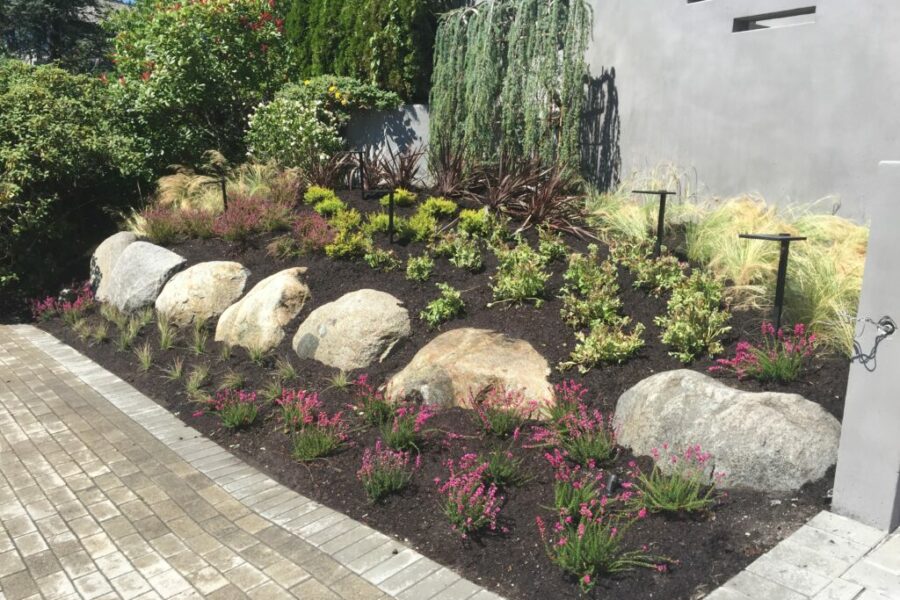 Photo 2016 07 29, 1 45 18 PM