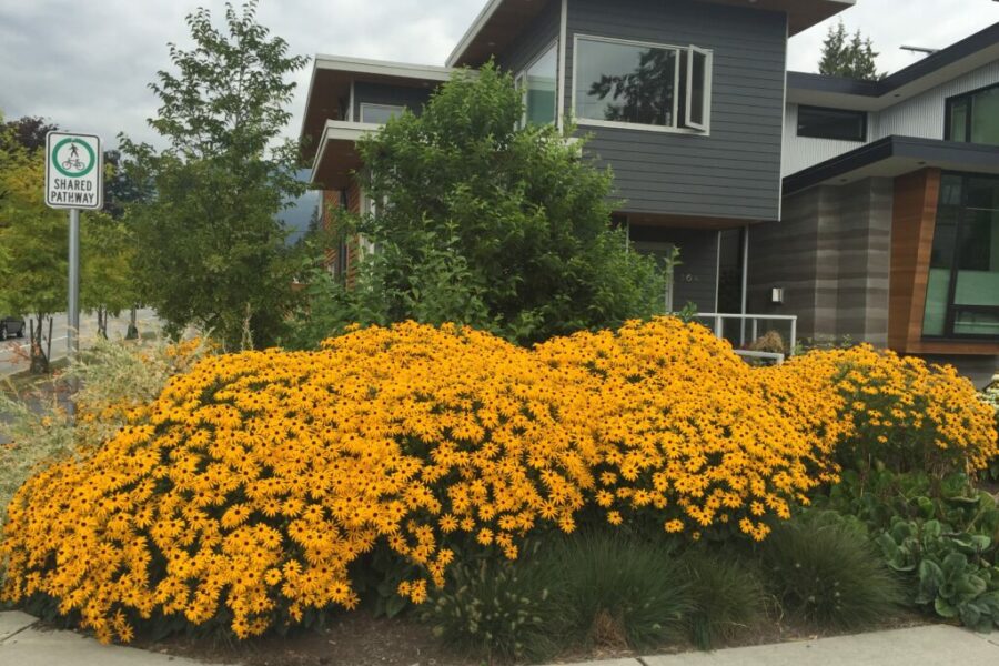 Photo 2016 08 08, 5 41 37 PM