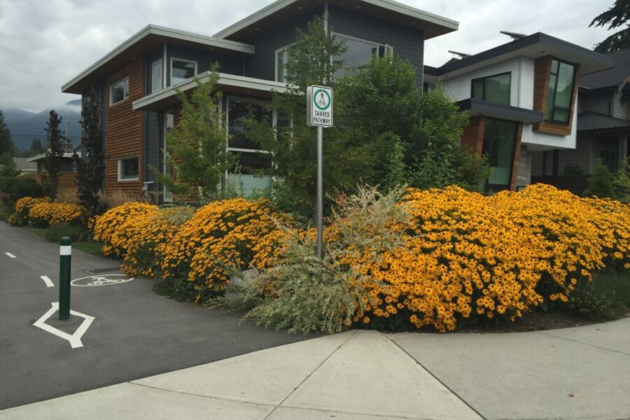 Photo 2016 08 08, 5 41 59 PM