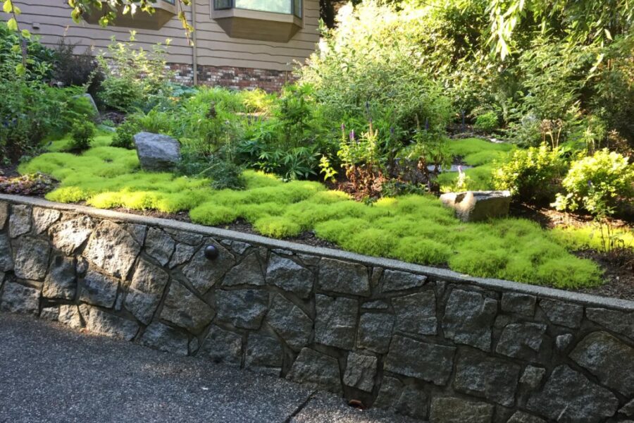 Photo 2016 08 17, 9 35 02 AM