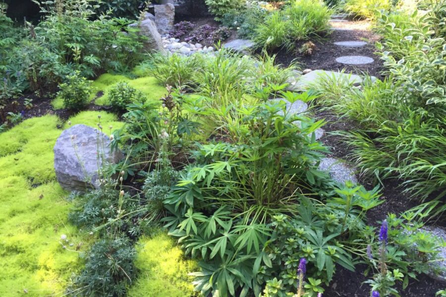 Photo 2016 08 17, 9 36 10 AM