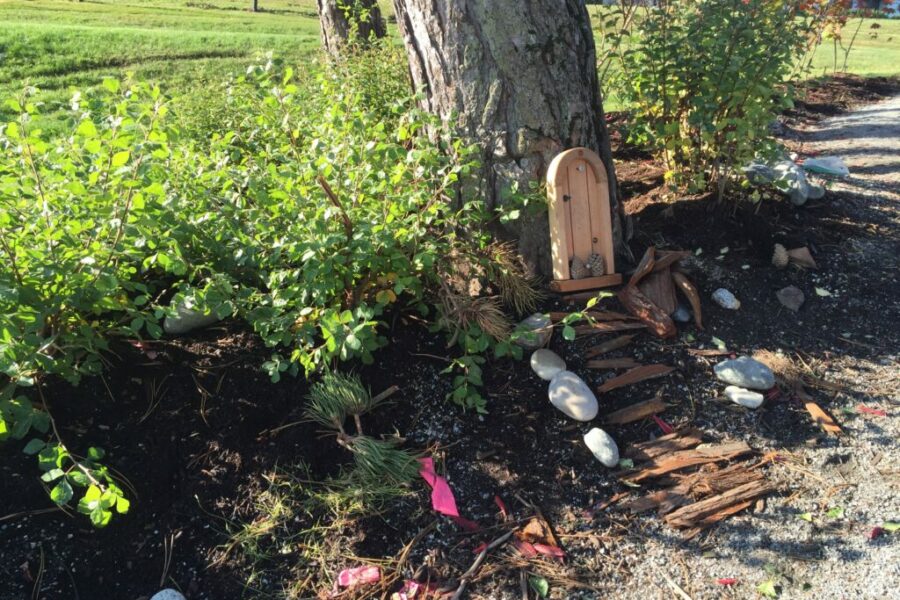 Photo 2016 09 22, 9 05 54 AM