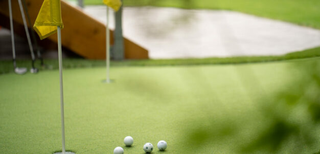 Putting Green Pic   Lawn Page