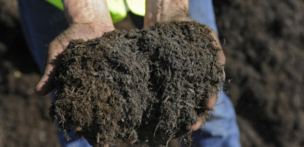 Hands holding Compost