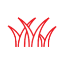 Beautiful, functional outdoor spaces start from the ground up, and there's no component more foundational to your yard than a beautiful green lawn. Whether you're looking for the timeless appeal of natural grass or the low maintenance benefits of synthetic turf, our team has you covered. With years of experience under our belts, we take immense pride in elevating your outdoor space to be not just a lawn, but a multi-functional oasis.