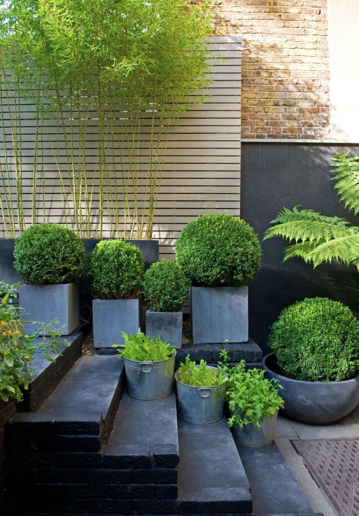 2025 Planter Program Bottom Line