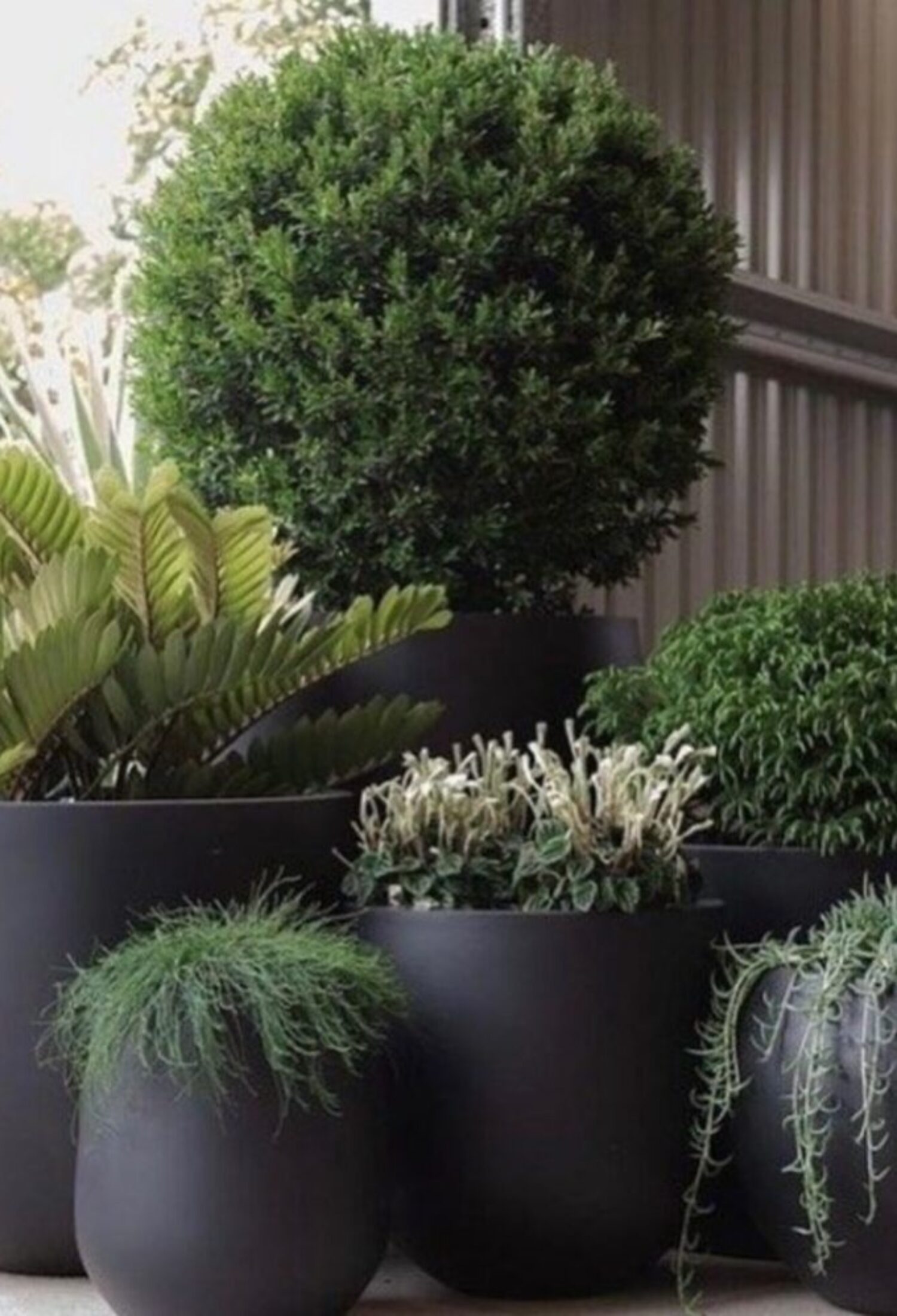 About Our Services Planter GCLC