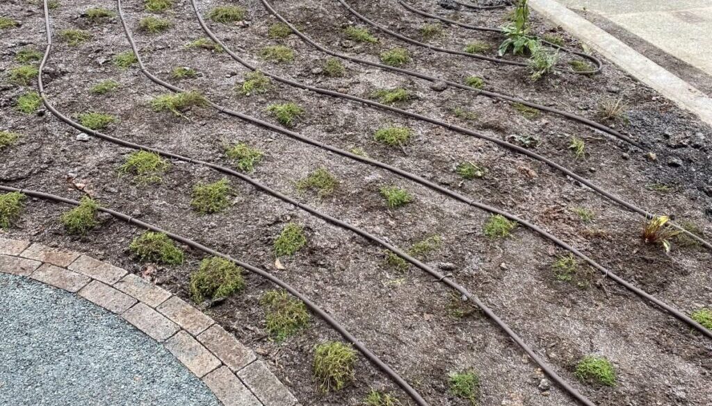 Drip Irrigation Metro Vancouver GCLC