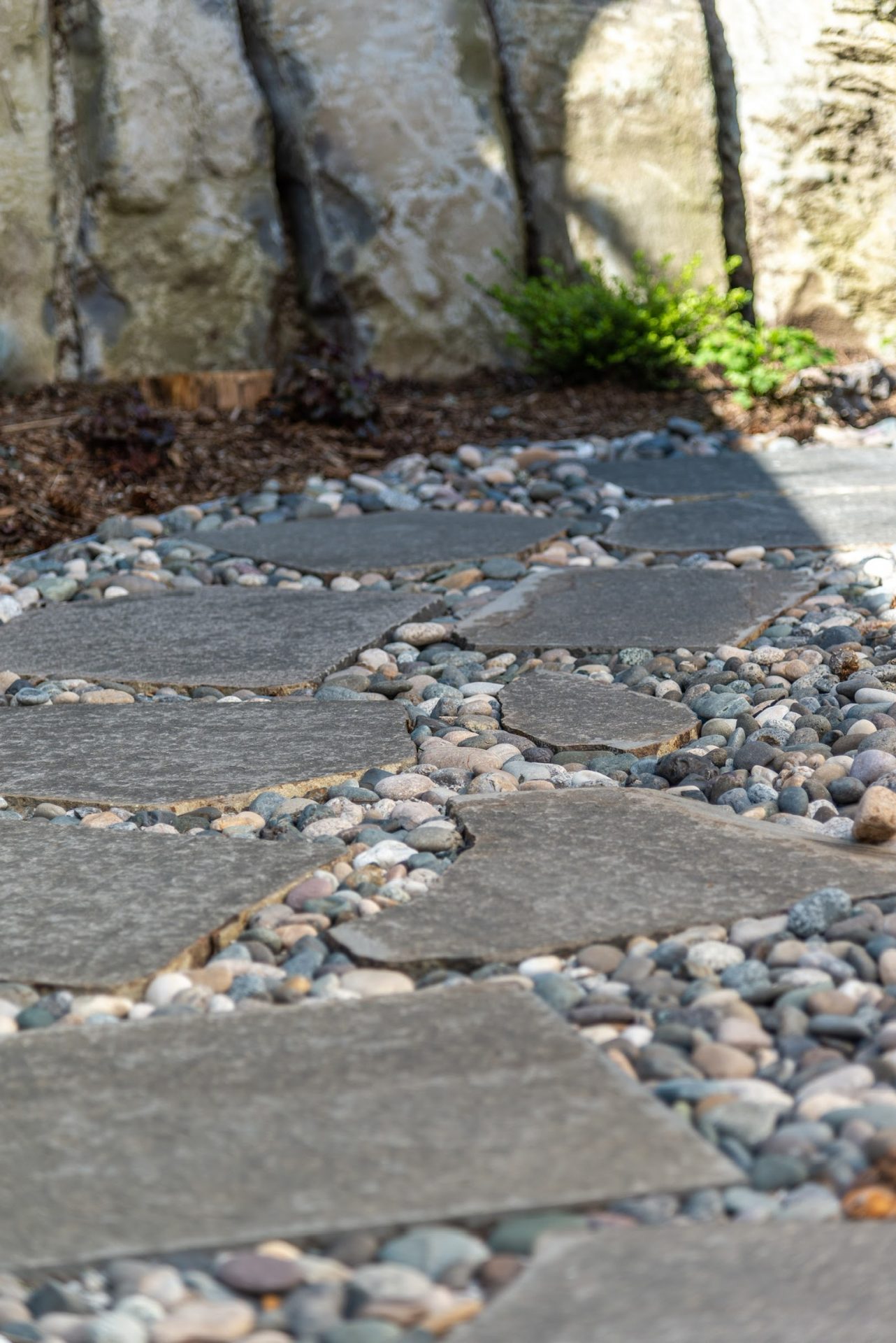 Stone stepping path with pebbles in garden