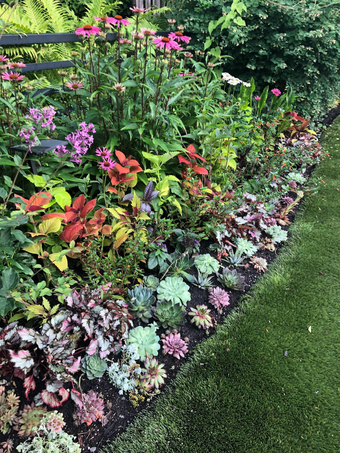 Colorful garden border with flowers and succulents