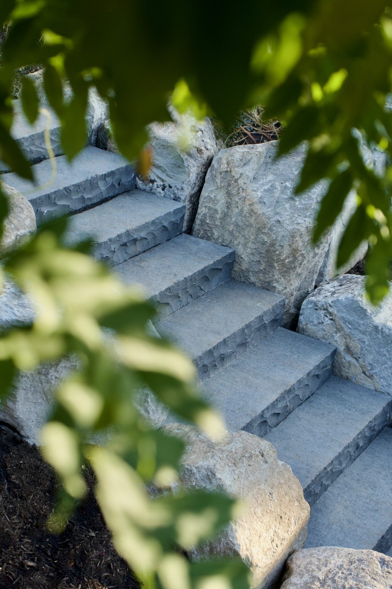 Stone garden steps framed by green leaves