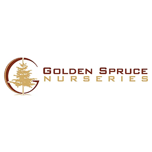 Golden Spruce Nurseries logo with tree emblem
