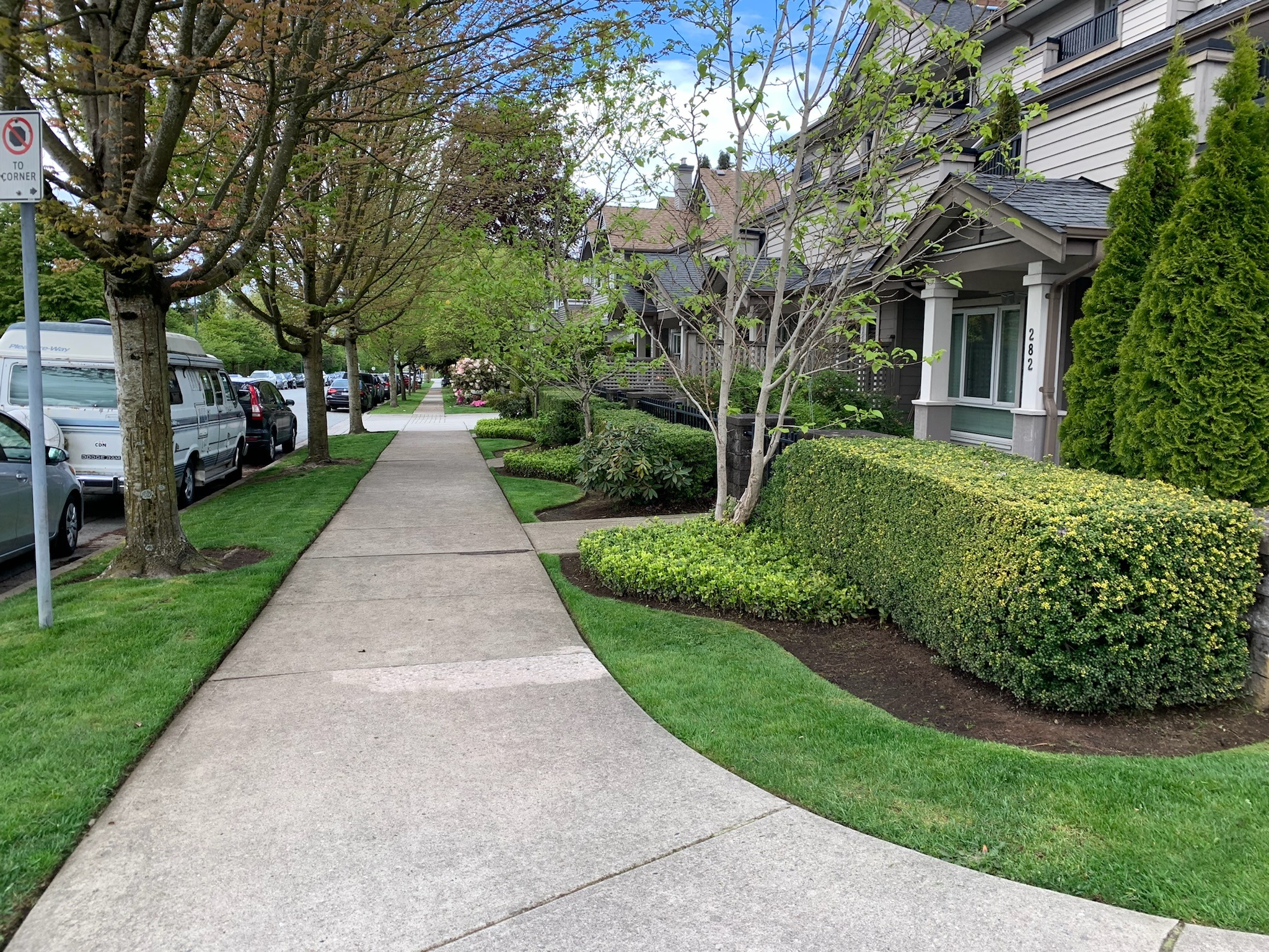 Tree-lined suburban sidewalk with townhouses and parked cars