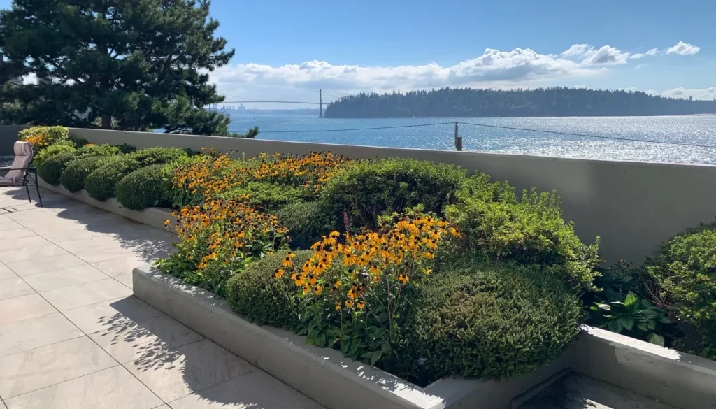 Maintenance Blog Post