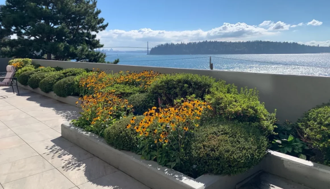 Maintenance Blog Post