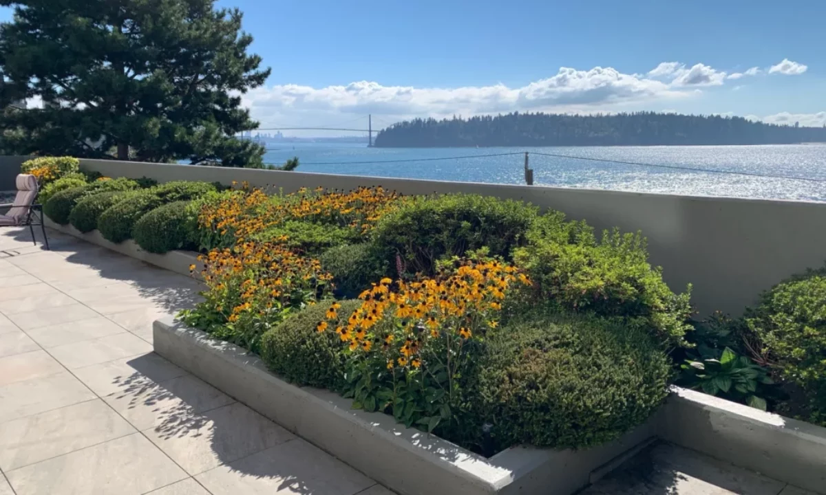 What’s Included in Professional Landscape Maintenance Services in Vancouver?