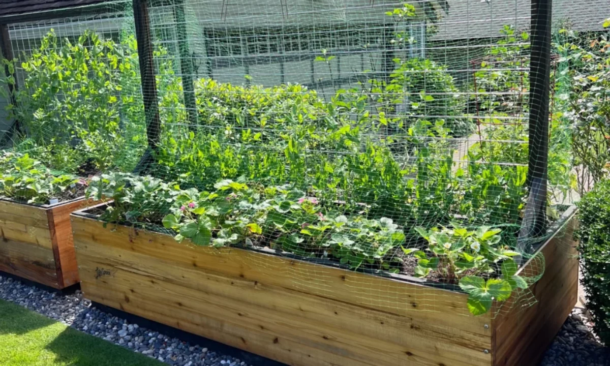 Top 10 Landscaping Trends for Vancouver, BC in 2026