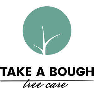 Minimalist tree silhouette inside teal circle