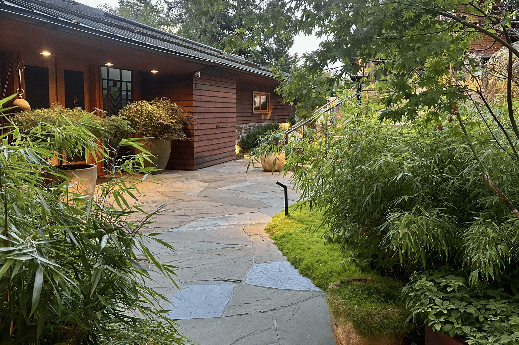 Modern wooden home with lush garden pathway