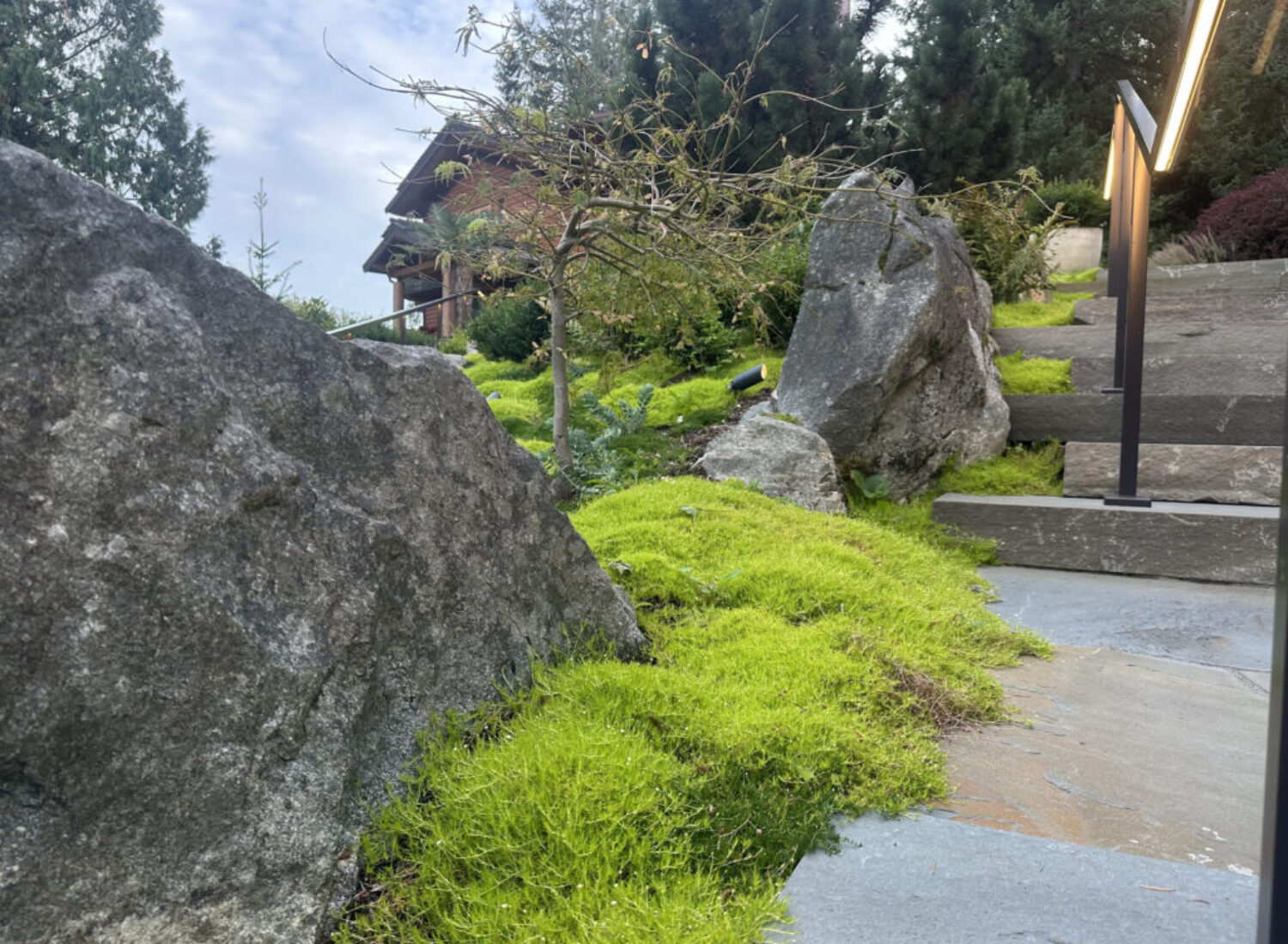 Moss-covered rocks beside modern garden stone steps