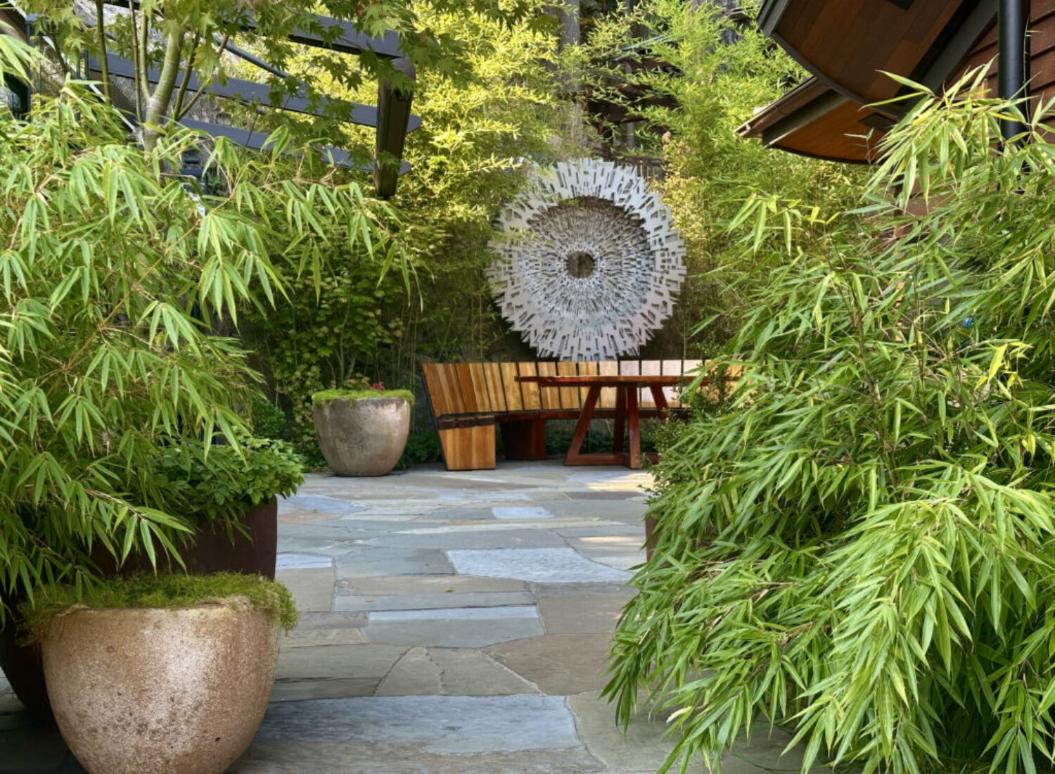 Lush bamboo garden patio with wooden bench
