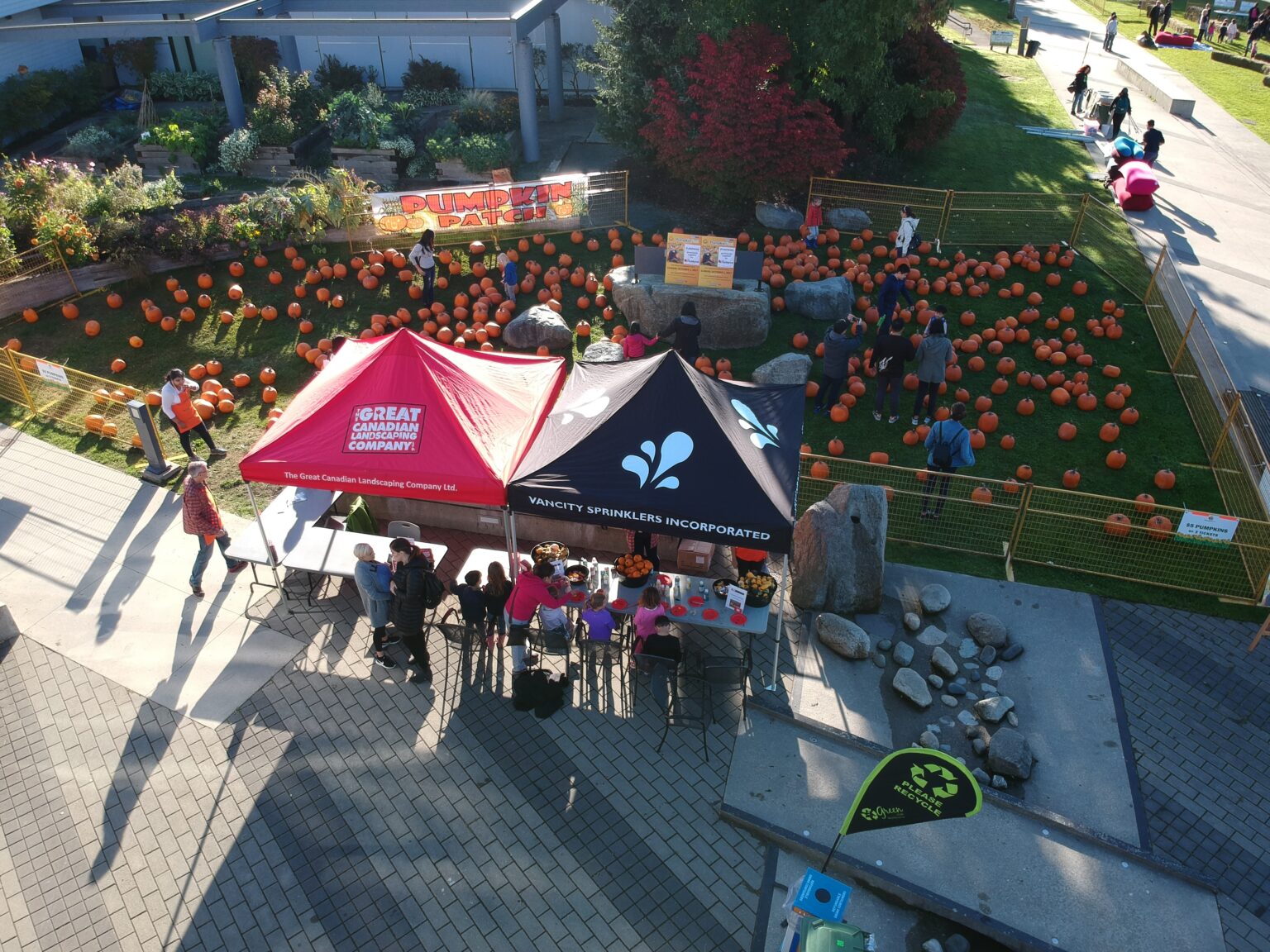 Aerial view of community pumpkin patch event
